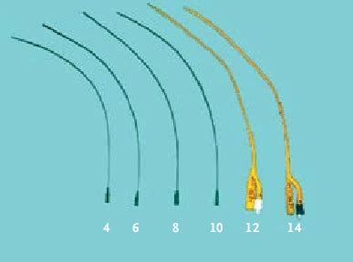 Appropriate Catheter Sizes for Use in Girls. The choice of catheter... | Download Scientific Diagram