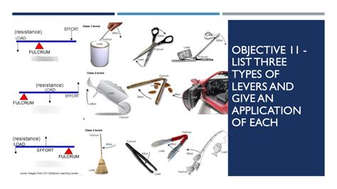 Second Class Lever Examples