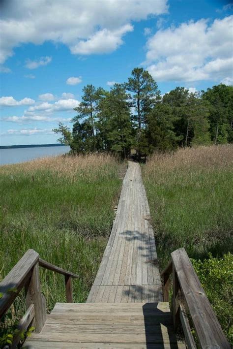 York River State Park Features An Awesome Boardwalk Hike