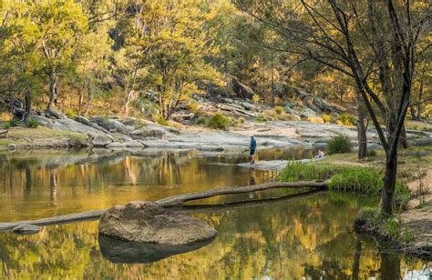 Warrabah National Park | NSW National Parks