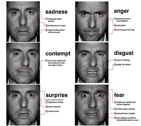 Actor Tim Roth portraying facial expressions, and their explanation | Envision your Evolution