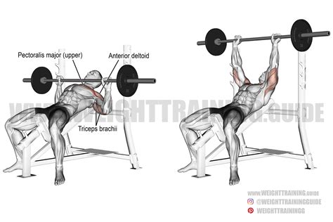 Incline barbell bench press instructions and video | Weight Training Guide