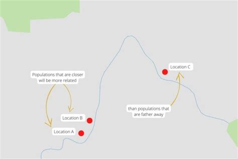 Distance Decay in Geography - Geography Realm