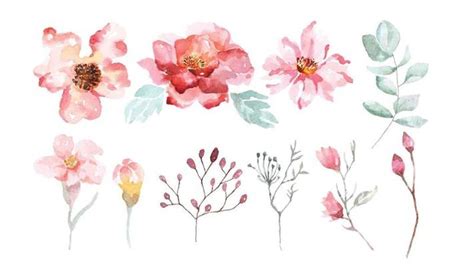 Watercolor Flower Vector Art, Icons, and Graphics for Free Download