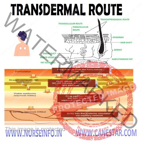 TRANSDERMAL ROUTE OF DRUG ADMINISTRATION - Nurse Info