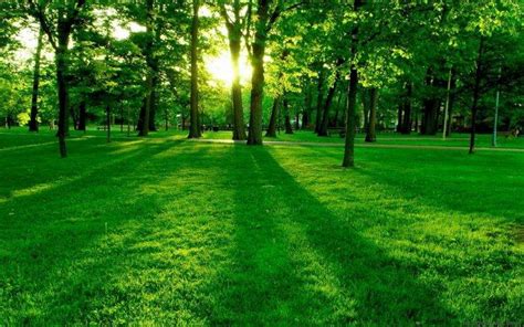 nature, Landscape, Green, Grass Wallpapers HD / Desktop and Mobile Backgrounds