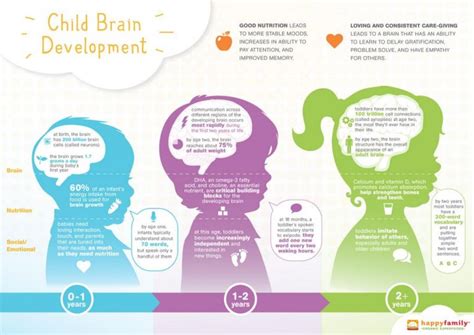 Child Care Aware of Virginia Food for Thought, How Nutrition Affects Brain Development