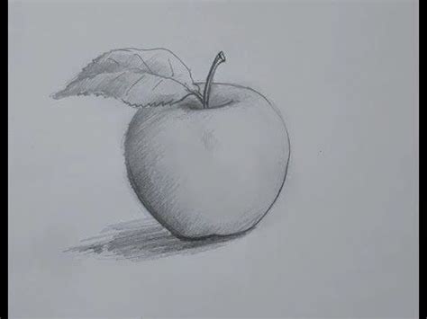 a pencil drawing of an apple with a leaf on it