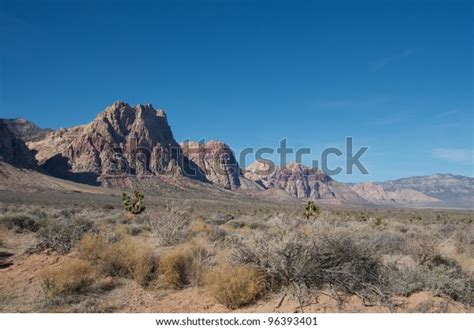 1,895 Desert Scrub Plants Images, Stock Photos & Vectors | Shutterstock