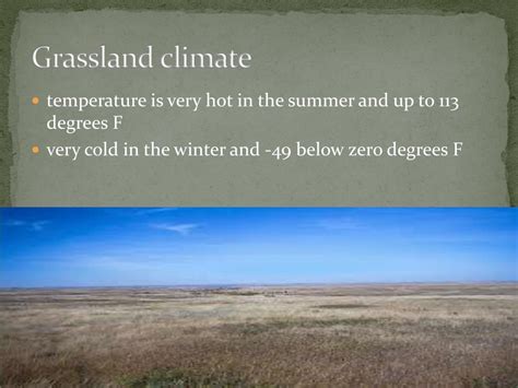 PPT - GRASSLAND PowerPoint Presentation, free download - ID:2111872