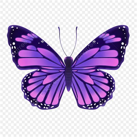 Purple Butterflies White Transparent, Purple Butterfly Png Material, Butterfly Clipart, Purple ...