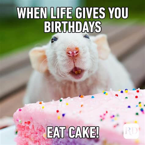 52 Funny Birthday Memes That Will Make Anyone Smile on Their Big Day