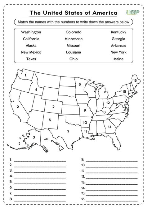 United States Map Worksheets - Allina Madeline