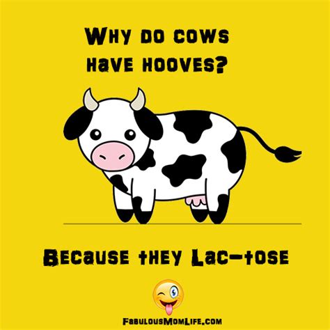 Why Do Cows Have Hooves? Funny English Puns - Fabulous Mom Life