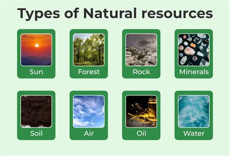 Natural Resources - Definition, Types, and Examples - GeeksforGeeks