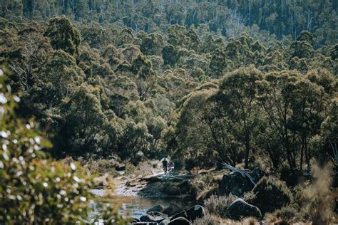 7 Things to Know Before Visiting Kosciuszko National Park