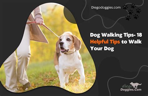 Dog Walking Tips- 18 helpful tips to Walk Your Dog