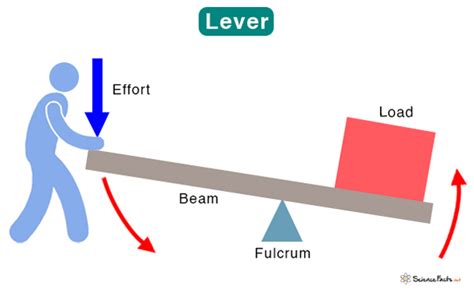 Lever: Definition, Parts, Types, and Examples