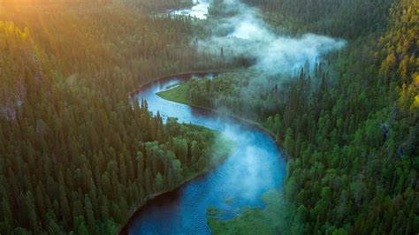 Aerial View Of Forest And River Landscape HD Nature Wallpapers | HD Wallpapers | ID #43414