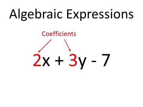 Algebraic Expression: Examples & Expressions - Education Is Around