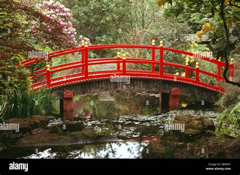 Red Japanese style bridge over stream in woodland in a large country garden in Spring Stock ...