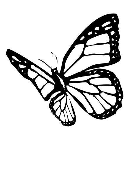 Butterfly Coloring Pages | Butterfly coloring page, Butterfly drawing outline, Butterfly drawing