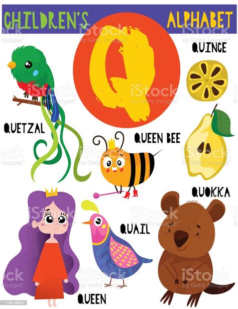 Letter Q Cute Childrens Alphabet With Adorable Animals And Other Things Poster For Kids Learning ...