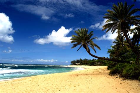 Hawaii Beaches Wallpaper - WallpaperSafari