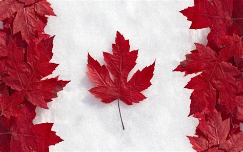 The Canadian Flag Wallpapers - Top Free The Canadian Flag Backgrounds - WallpaperAccess