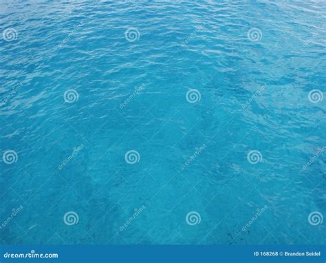 246,319 Clear Blue Ocean Water Photos - Free & Royalty-Free Stock Photos from Dreamstime