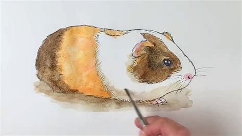 Original Painting Guinea Pig Art/ Artwork Illustration Drawing Animal Painted Water Colour ...