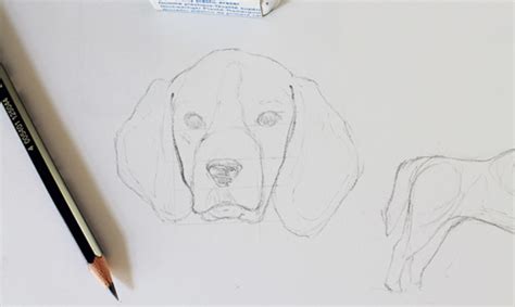 How to Draw Realistic Dog Drawing Tutorial Tutorials Craft Supplies & Tools jan-takayama.com