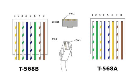 Cat 5 Wire Connector Diagram