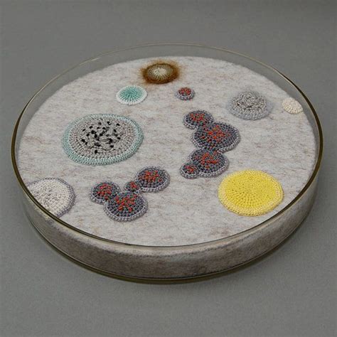 Petri Dish, Geek Crafts, It Goes On, Boho Interior, Science Art, Textile Art, Handicraft, Geek ...