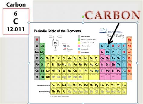 carbon cycle