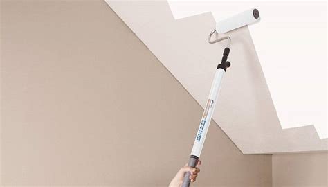 Best Paint Roller For Ceilings - Get More Anythink's