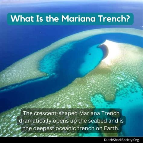 15 Interesting Facts About the Mariana Trench - Dutch Shark Society