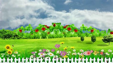 Flower Garden Background Hd Photo | Best Flower Site