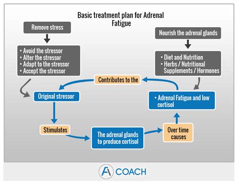 Adrenal Fatigue Diagnosis and Treatment | Adrenal Fatigue Coach