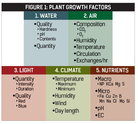 Plant-growth-factors | Farmer's Weekly