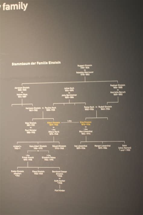 Albert Einsteins Family Tree