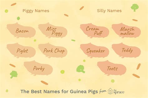 100 Names for Pet Guinea Pigs