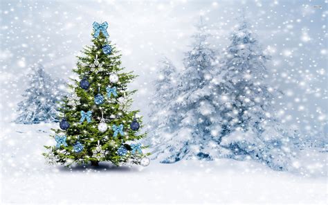 Snowy Christmas Tree Wallpaper | Christmas Tree in Snowy Landscape