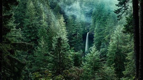 A view of the North Falls waterfall in Silver Falls State Park, Oregon, USA | Windows Spotlight ...