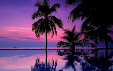 Purple Sunset Wallpapers - Wallpaper Cave