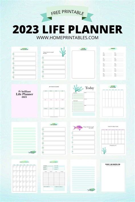 Planner 2023 PDF Free Download: 40 Awesome Printables! | Study planner printable, Planner ...