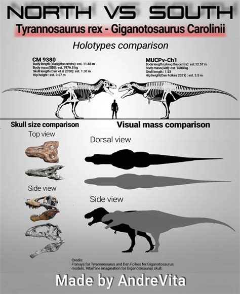 Giganotosaurus Size Comparison