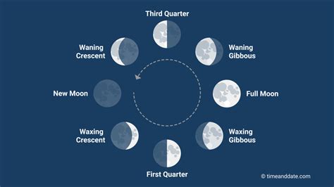 2moon Phase Calendar 2024 Pdf - Nov 2024 Calendar With Holidays