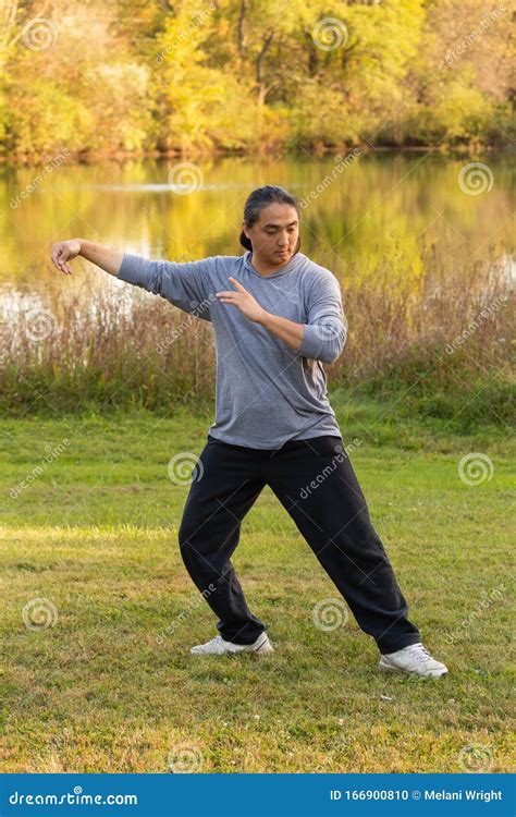 An Asian Man in a Graceful Tai Chi Pose Stock Photo - Image of asian, martial: 166900810