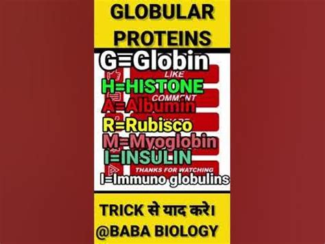 BioMolecules Examples tricks।GLOBULAR protein।Biology Tricks|Biology tricks for NEET।Baba ...